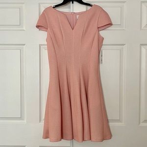 Pink Donna Ricco Dress